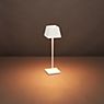 Sigor Nuindie Table Lamp LED with square shade in the 3D viewing mode for a closer look