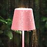 Sigor Nuindie, lámpara de sobremesa LED rosa