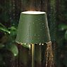 Sigor Nuindie, lámpara de sobremesa LED verde abeto , artículo en fin de serie