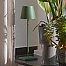 Sigor Nuindie, lámpara de sobremesa LED verde abeto , artículo en fin de serie - ejemplo de uso previsto