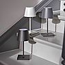 Sigor Nuindie mini Lampada da tavolo LED antracite , articolo di fine serie - immagine di applicazione