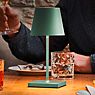 Sigor Nuindie mini Lampada da tavolo LED verde , articolo di fine serie - immagine di applicazione