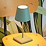 Sigor Nuindie mini, lámpara de sobremesa LED plateado , artículo en fin de serie - ejemplo de uso previsto