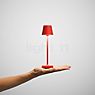 Sigor Nuindie pocket Lampe de table LED rouge