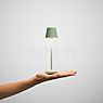 Sigor Nuindie pocket Lampe de table LED vert