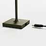 Sigor Nuindie pocket Lampe de table LED vert foncé