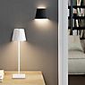 Sigor Nuindie tango Bordlampe LED hvid ansøgning billede