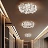 Slamp Clizia Ceiling Light smoke, media application picture