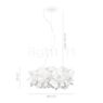 Measurements of the Slamp Clizia Mama Non Mama Pendant Light gold/cable transparent - ø53 cm in detail: height, width, depth and diameter of the individual parts.