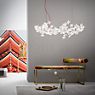 Slamp Hanami Pendant Light large, cable red application picture