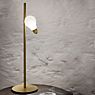 Slamp Idea Table Lamp brass application picture