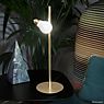 Slamp Idea Table Lamp brass application picture