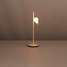 Slamp Idea Table Lamp brass