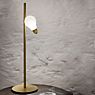 Slamp Idea Table Lamp brass , Warehouse sale, as new, original packaging application picture