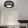 Slamp Kalatos Wand-/Plafondlamp zwart/goud productafbeelding