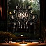 Slamp Medusa Pendant light black application picture