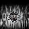 Slamp Medusa, lámpara de suspensión negro