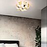 Slamp Mida Lampada da parete e soffitto ambrato - ø50 cm - immagine di applicazione