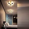 Slamp Mida Wall- and Ceiling Light gold - ø32 cm application picture