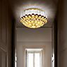 Slamp Odeon Ceiling Light gold - 100 cm application picture