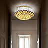 Slamp Odeon Ceiling Light gold - 65 cm application picture