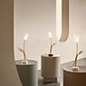Slamp Tulip Lampe rechargeable LED blanc - produit en situation