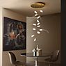 Slamp Tulip Suspension LED ronde - 14 foyers prisme/laiton - produit en situation