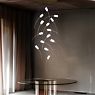 Slamp Tulip Suspension LED ronde - 14 foyers prisme/laiton - produit en situation