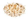 Slamp Veli Aurea Wall-/Ceiling Light gold - ø78 cm