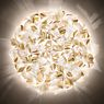 Slamp Veli Aurea Wall-/Ceiling Light gold - ø78 cm