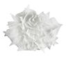 Slamp Veli Couture Wand-/Plafondlamp in 3D aanzicht voor meer details