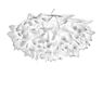 Slamp Veli Foliage Wall-/Ceiling Light ø75 cm