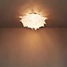 Slamp Veli Foliage Wall-/Ceiling Light ø75 cm