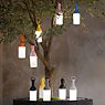 Sompex Elo Lampe rechargeable LED olive , fin de série - produit en situation