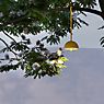 Sompex Hook Lampe rechargeable LED jaune - produit en situation