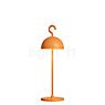 Sompex Hook, lámpara recargable LED naranja