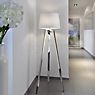 Sompex Triolo Floor Lamp white/polished stainless steel application picture