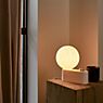 Tala Alumina Wall Light/Table Lamp blossom application picture