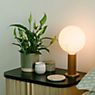 Tala Knuckle Table Lamp oak application picture