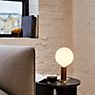 Tala Knuckle Table Lamp oak application picture