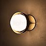 Tala Loop Lampada da parete dorato - large - lampadina inclusa , articolo di fine serie