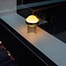 Tala Loop Lampe de table doré - large - ampoule incluse , fin de série - produit en situation