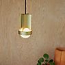 Tala Loop Pendant Light gold - large - incl. lamp , discontinued product application picture