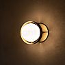Tala Loop Wall Light gold - large - incl. lamp , discontinued product