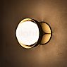 Tala Loop, lámpara de pared dorado - large - bombilla incluida , artículo en fin de serie