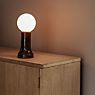 Tala Shore Table Lamp brown application picture