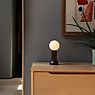Tala Shore Table Lamp brown application picture