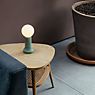 Tala Shore Table Lamp green application picture