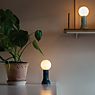 Tala Shore Table Lamp green application picture