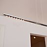 Tecnolumen Lum Suspension LED noir - 195 cm - produit en situation